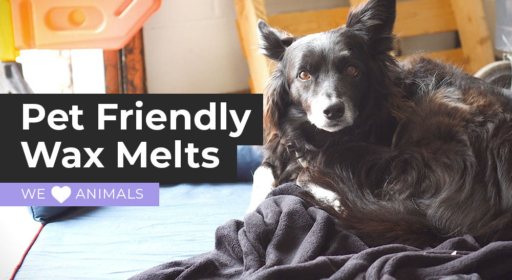 Pet Friendly Wax Melts – Cosy Aromas