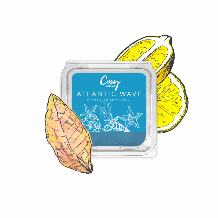 Atlantic Wave - 25g Wax Melt
