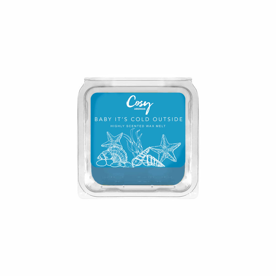 Baby It's Cold Outside - 25g Wax Melt