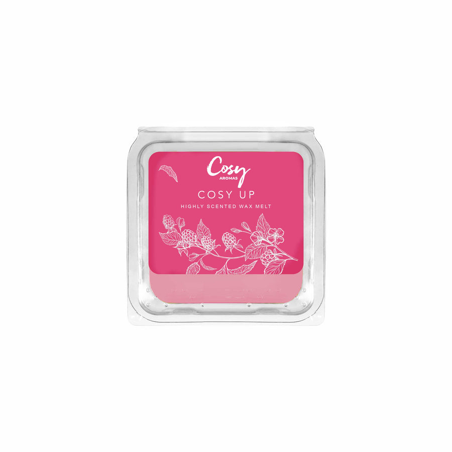 Cosy Up - 25g Wax Melt
