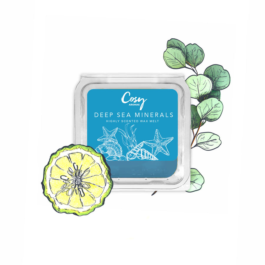 Deep Sea Minerals - 25g Wax Melt