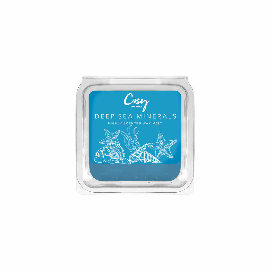 Deep Sea Minerals - 25g Wax Melt