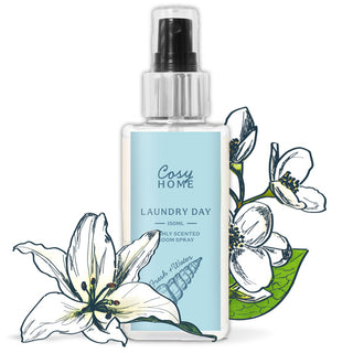 Laundry Day Room Spray