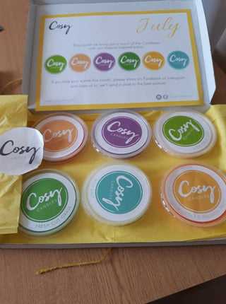 New scented soy wax melts for July!