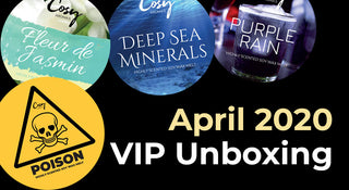 April 2020 VIP Subscription Unboxing