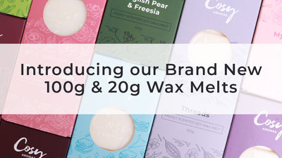 Introducing our Brand New 100g & 20g Wax Melts