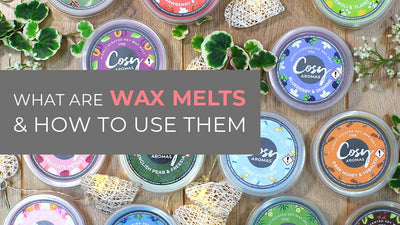 What are wax melts & how to use them
