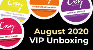 August 2020 VIP Subscription Unboxing