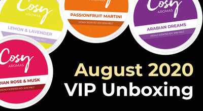 August 2020 VIP Subscription Unboxing