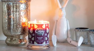 Have a very Cosy Christmas with our Christmas Wax Melts