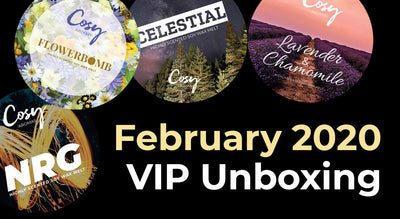 February 2020 VIP Subscription Unboxing