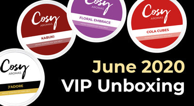June 2020 VIP Subscription Unboxing