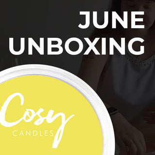 June's Wax Melt Subscription Box