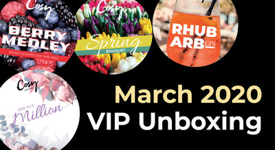 March 2020 VIP Subscription Unboxing