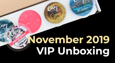 November 2019 VIP Subscription Unboxing