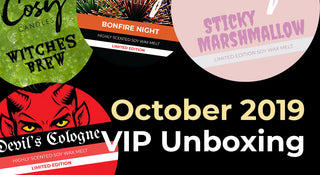 October 2019 VIP Subscription Unboxing
