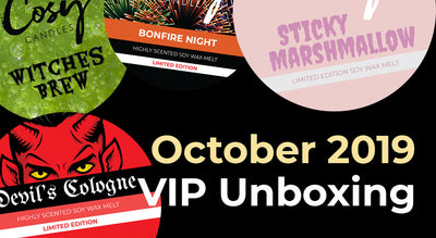 October 2019 VIP Subscription Unboxing