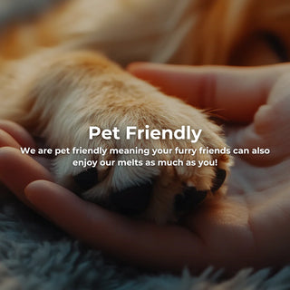pet friendly cosy aromas