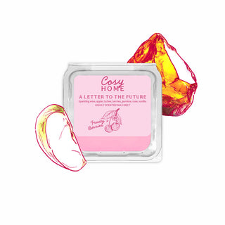 A Letter to the Future - 25g Wax Melt