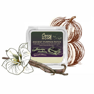 Ancient Pumpkin Patch - 25g Wax Melt