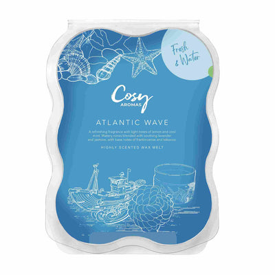 atlantic wave 100g wax melt