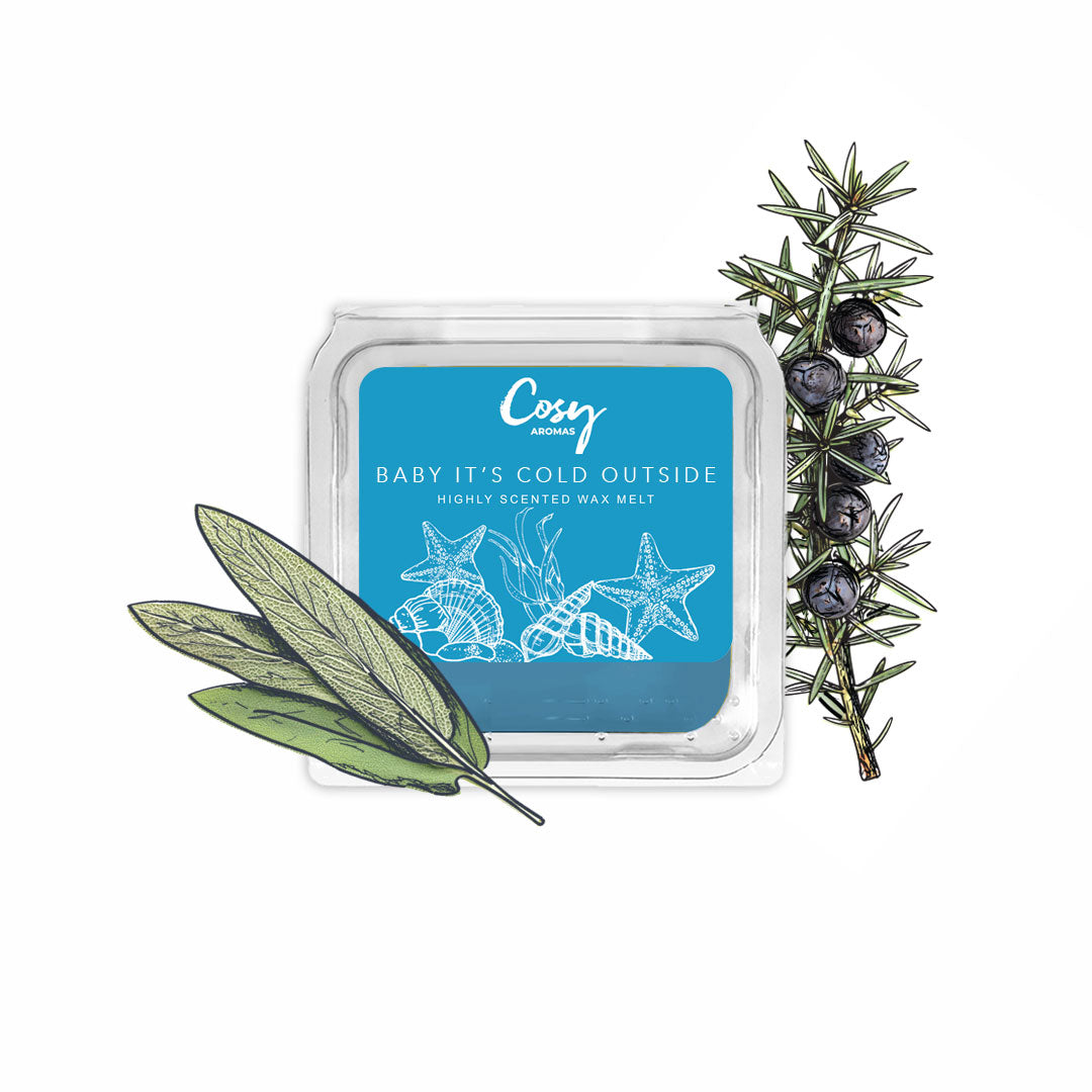 Baby It's Cold Outside - 25g Wax Melt