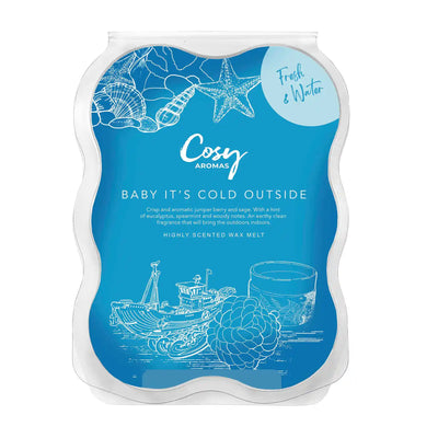 baby its cold outside 100g wax melt