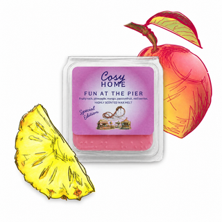 Fun at the Pier - 25g Wax Melt