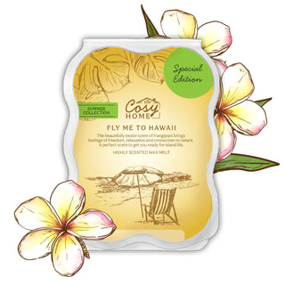 fly me to hawaii 100g wax melt