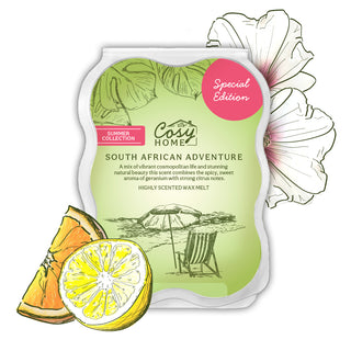south african adventure 100g wax melt