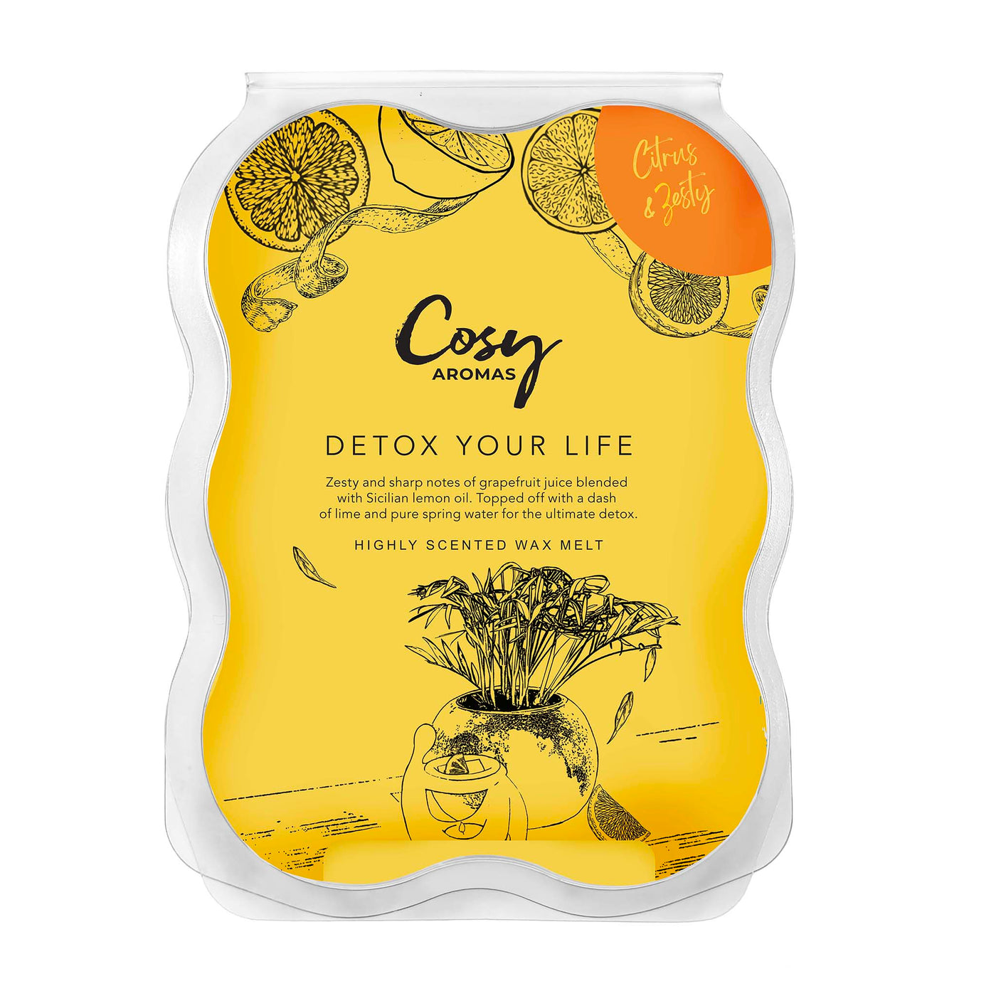 Detox Your Life 100g Wax Melt