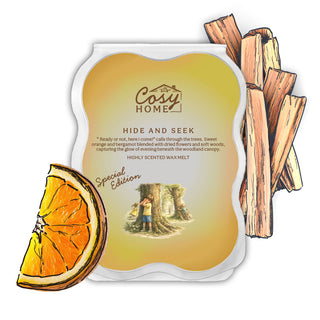 Hide and Seek - 100g Wax Melt