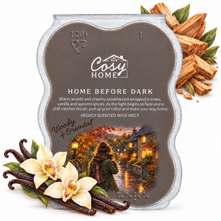 Home Before Dark - 100g Wax Melt
