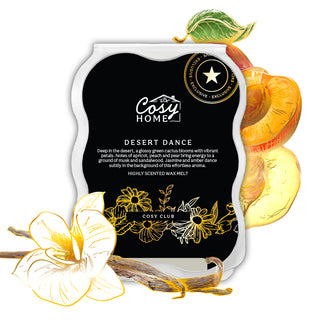 desert dance 100g wax melt