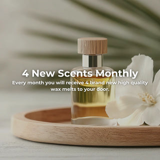 cosy moments benefits