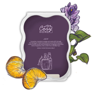 Joy - 100g Wax Melt