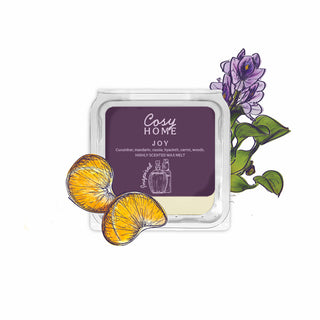 Joy - 25g Wax Melt
