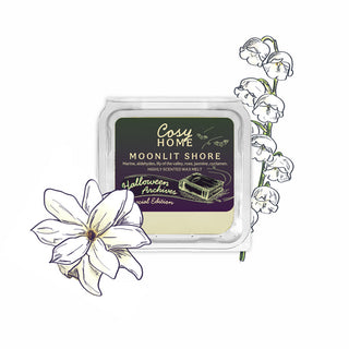 Moonlit Shore - 25g Wax Melt