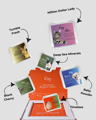 national pet day wax melt box