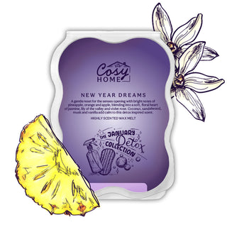 New Year Dreams - 100g Wax Melt