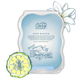 Open Window - 100g Wax Melt