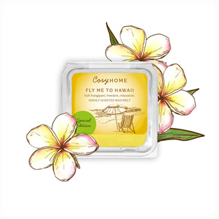 fly me to hawaii 25g wax melt