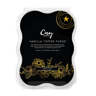 vanilla toffee fudge 100g wax melt
