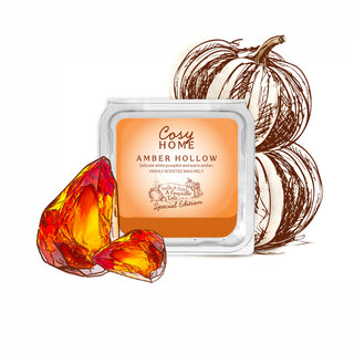 Amber Hollow - 25g Wax Melt