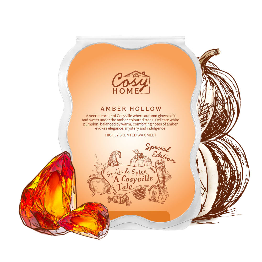 Amber Hollow - 100g Wax Melt