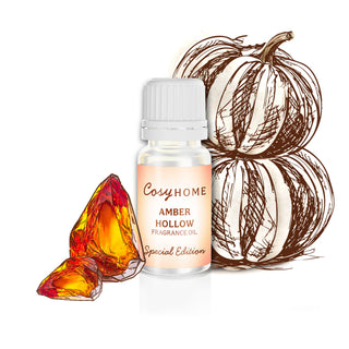 Amber Hollow Fragrance Oil