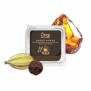 Amber Nomad - 25g Wax Melt