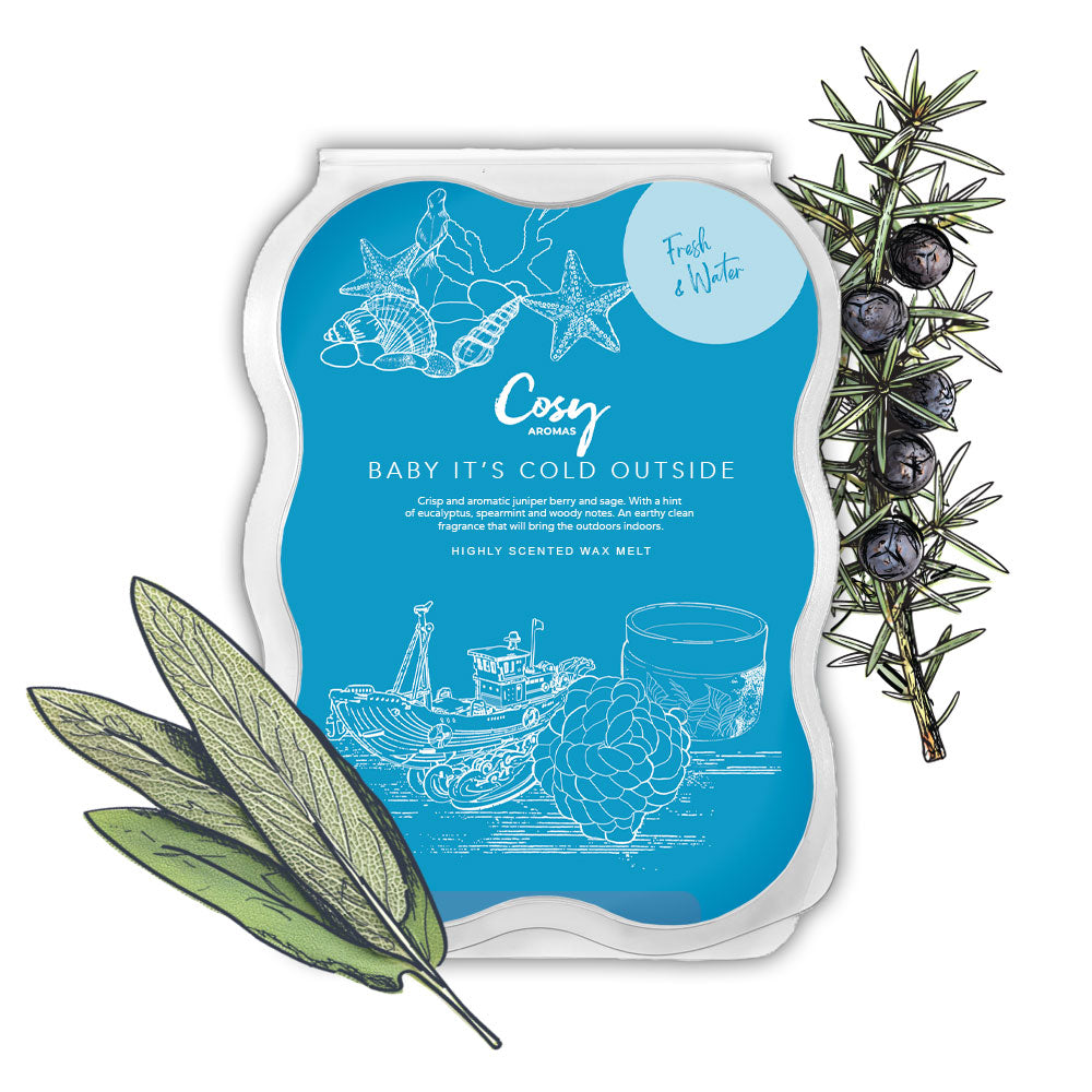 Baby It's Cold Outside 100g Wax Melt