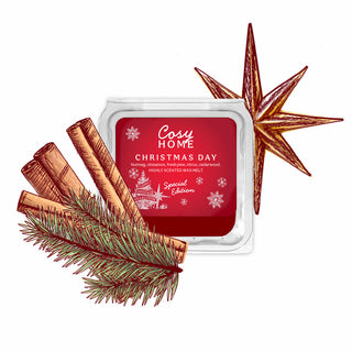 Christmas Day - 25g Wax Melt