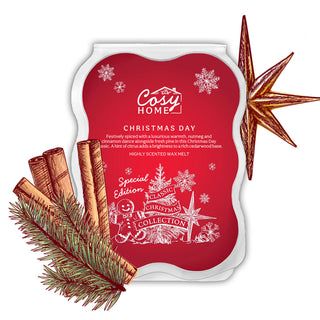 Christmas Day - 100g Wax Melt